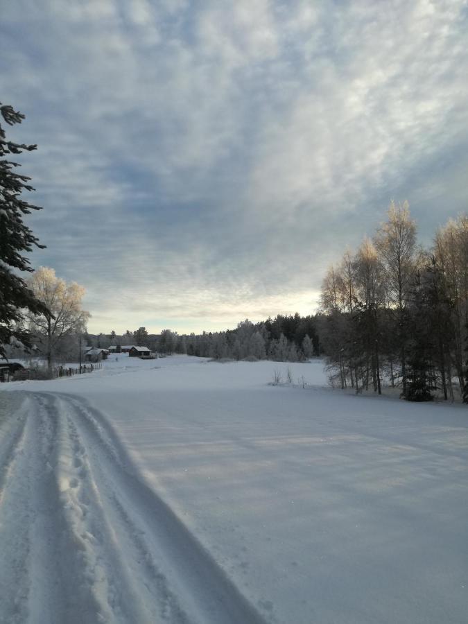 Presterudveien 125 Vikersund Exterior foto