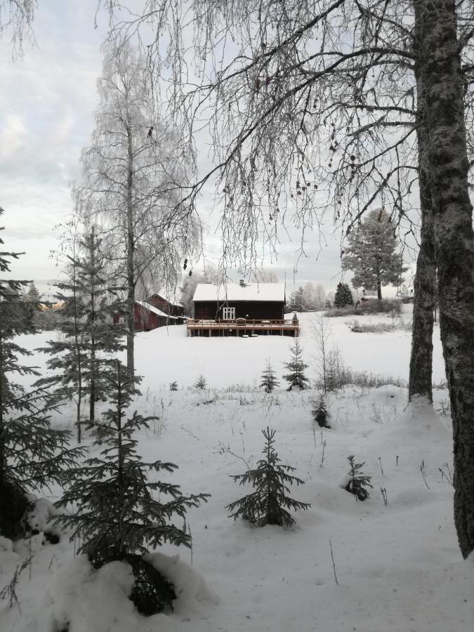 Presterudveien 125 Vikersund Exterior foto